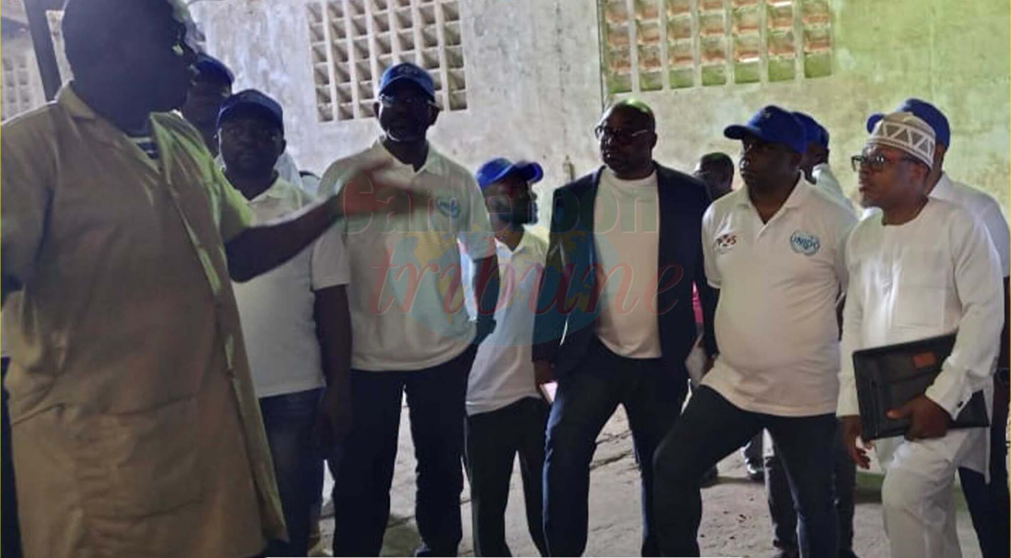 Cameroun: 35 vérificateurs de cacao formés pour booster la qualité des exportations