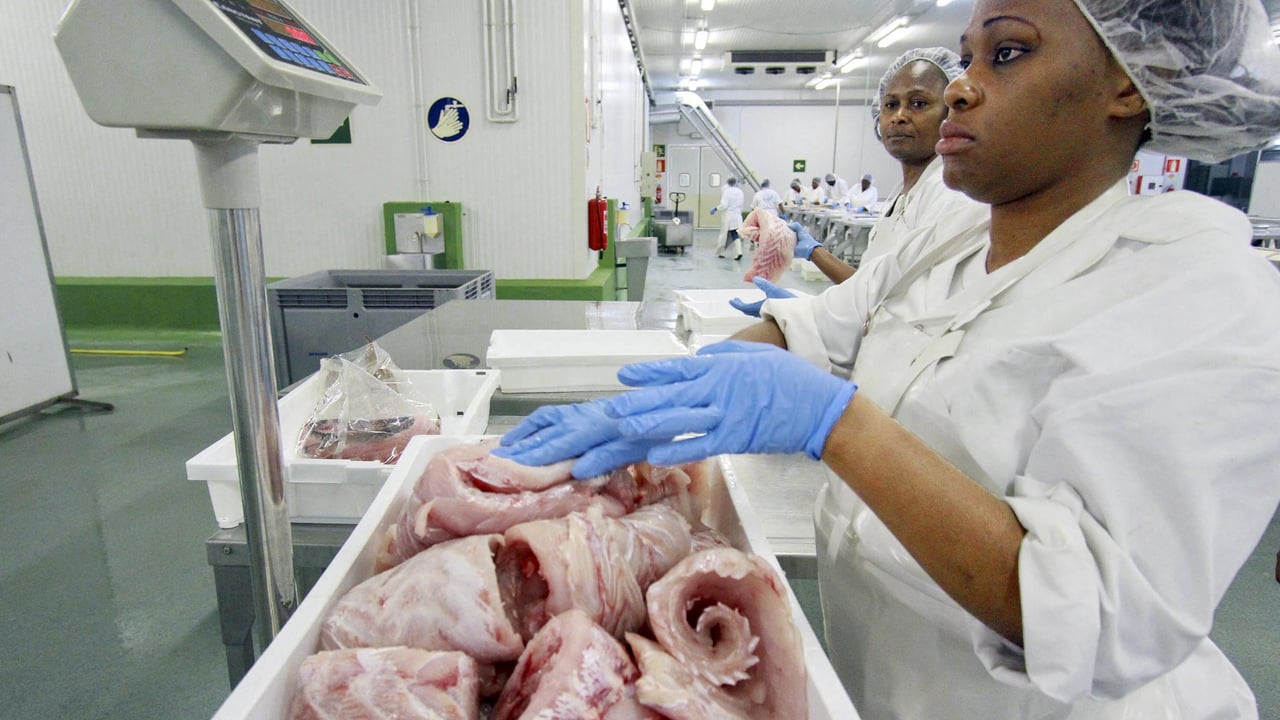 Le Gabon rompt son partenariat de pêche avec l&rsquo;Union européenne