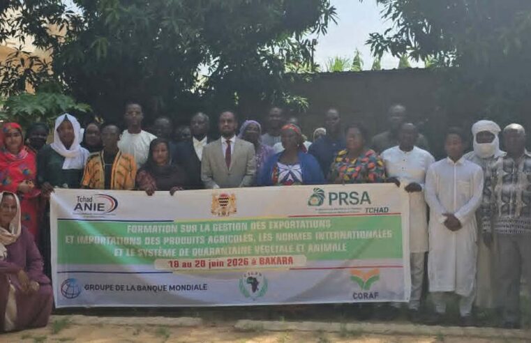Tchad : former pour exporter plus et mieux