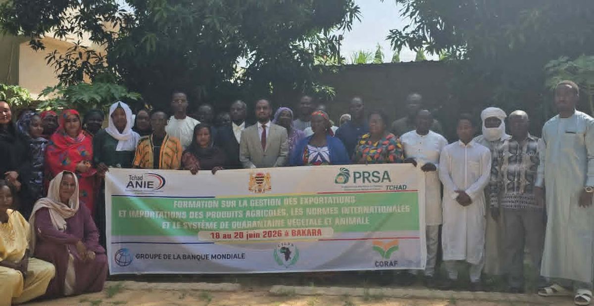 Tchad : former pour exporter plus et mieux