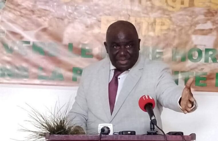 Gabon : la réforme des partis politiques à l&rsquo;épreuve de l&rsquo;administration