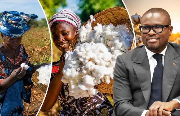 Prime conditionnelle de 10 FCFA par kilo : le Bénin mise sur la performance cotonnière