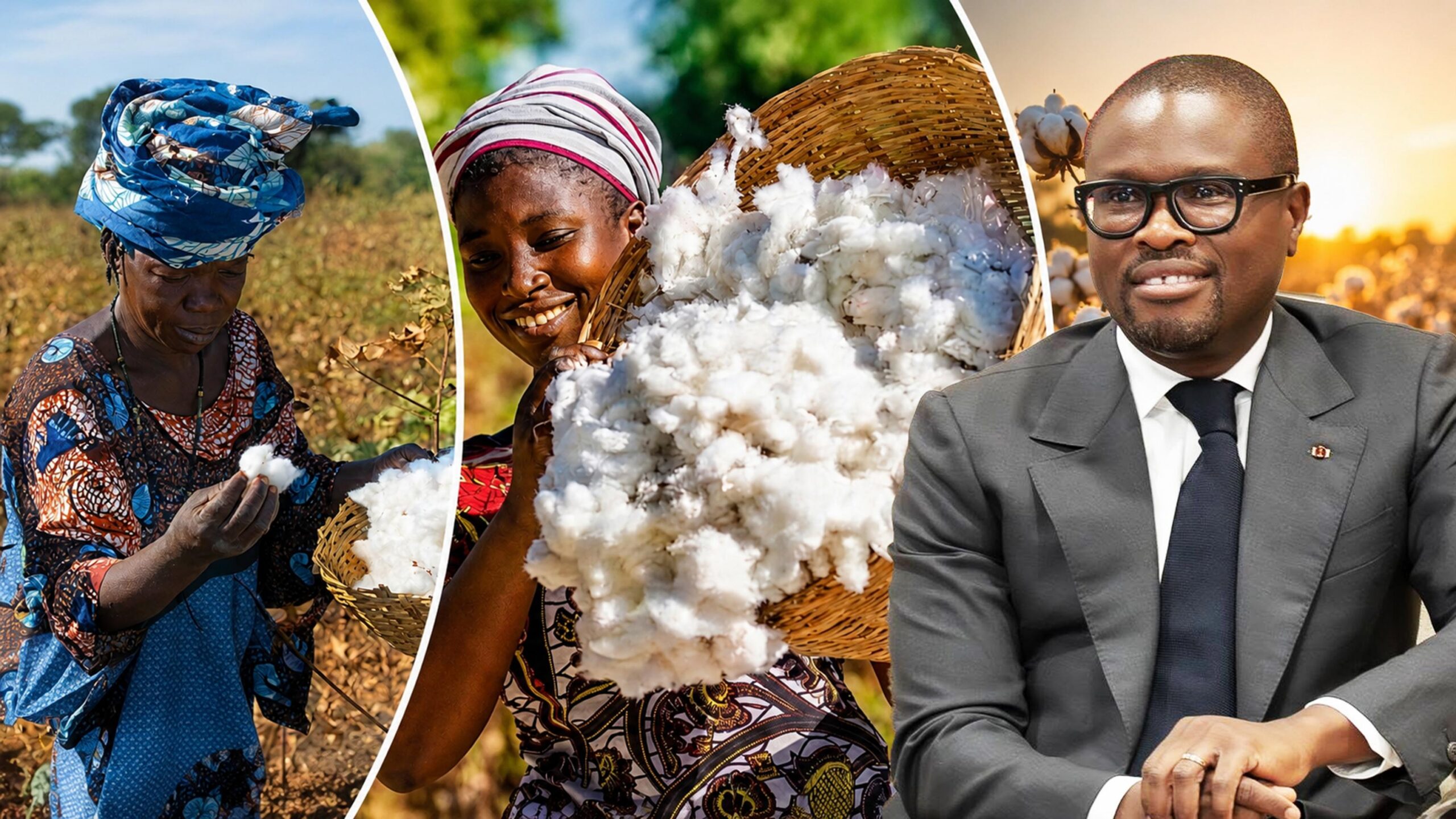 Prime conditionnelle de 10 FCFA par kilo : le Bénin mise sur la performance cotonnière