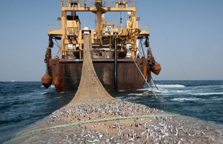 Gabon : Libreville met fin à l&rsquo;accord de pêche avec l&rsquo;Union européenne