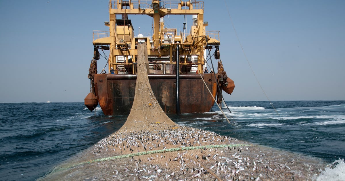 Gabon : Libreville met fin à l&rsquo;accord de pêche avec l&rsquo;Union européenne