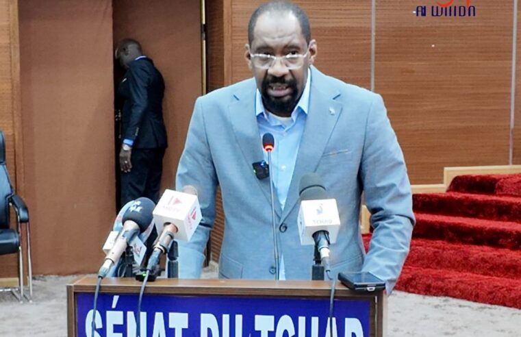Tchad : le ministre de la Sécurité expose les défis sécuritaires aux sénateurs
