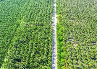 Le Bénin sécurise 12,5 milliards de FCFA de la BID pour son agriculture