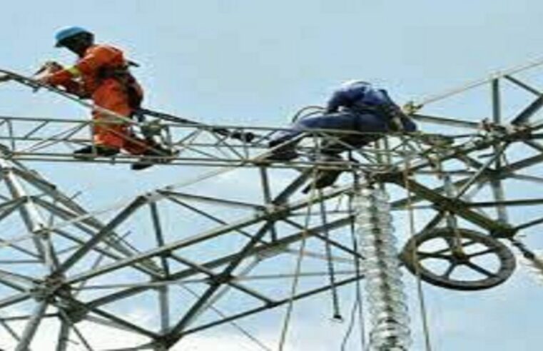 Le Cameroun mise sur le partenariat public-privé pour son transport électrique