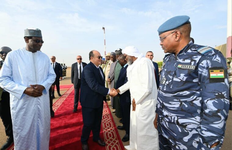 Inauguration de la centrale `solidarité` à Niamey par le Premier ministre algérien
