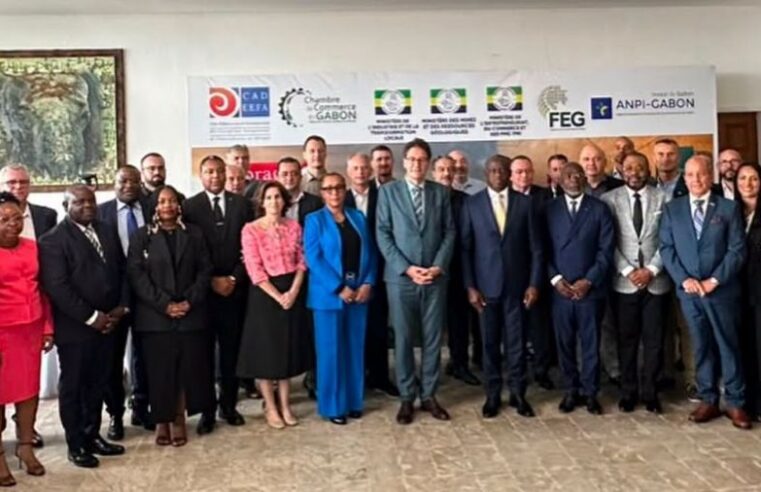 Gabon : cap sur l&rsquo;industrialisation pour valoriser ses ressources