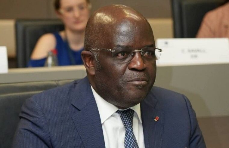 Gabon : comment l&rsquo;industrialisation des matières premières redessine l&rsquo;avenir