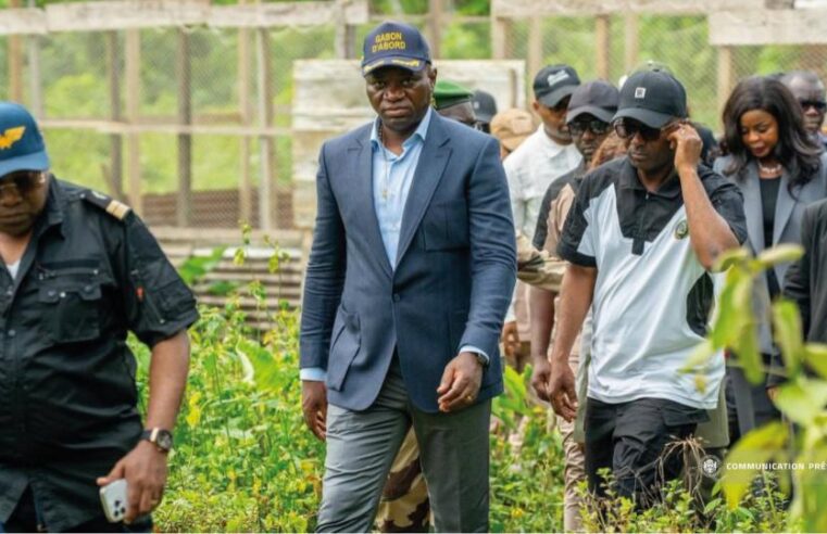 Autonomie alimentaire : le Gabon investit 25 milliards pour rompre avec les importations