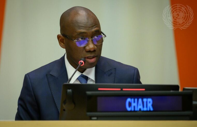 Coly seck président de la quatrième commission de l&rsquo;ONU pour le Sénégal
