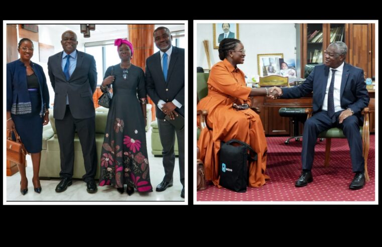 Wave approfondit son dialogue institutionnel au Cameroun