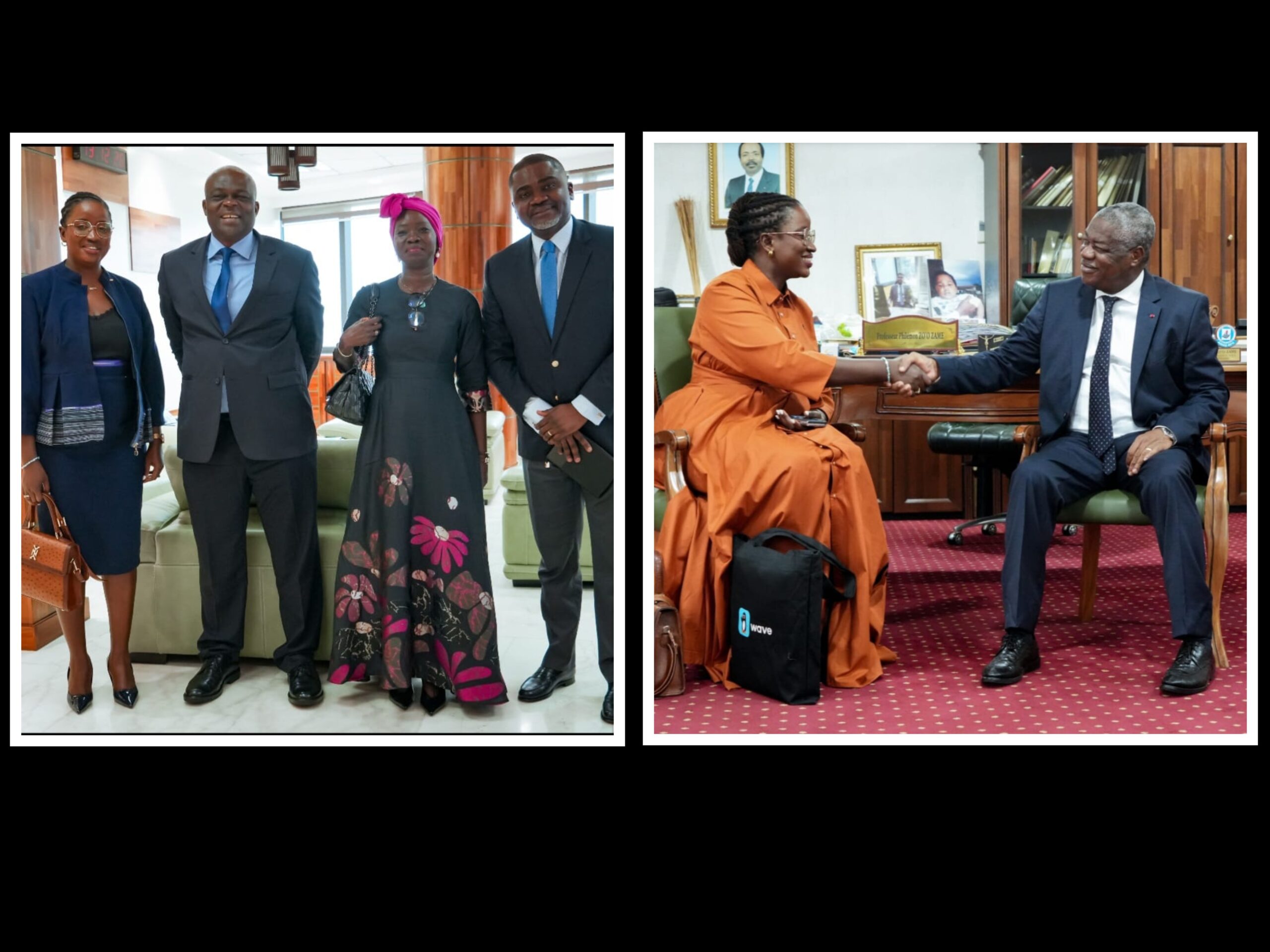 Wave approfondit son dialogue institutionnel au Cameroun