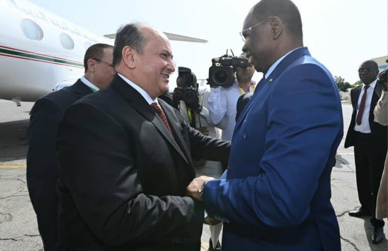 Sifi Ghrieb en visite au Tchad pour renforcer la coopération bilatérale