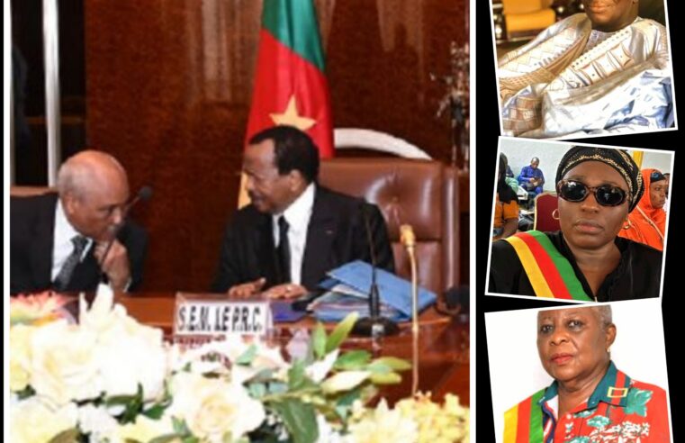 Composition du Conseil supérieur de la magistrature au Cameroun annoncée par Paul biya