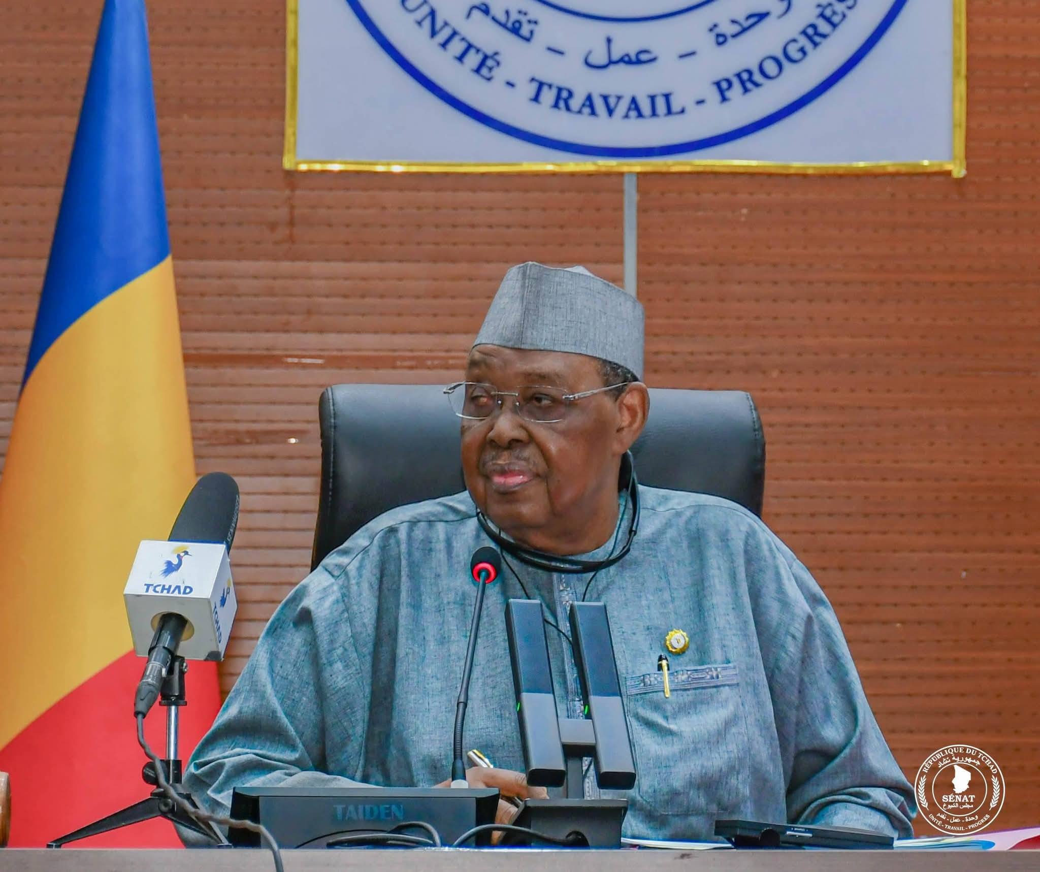 Illustration des efforts sécuritaires au Tchad