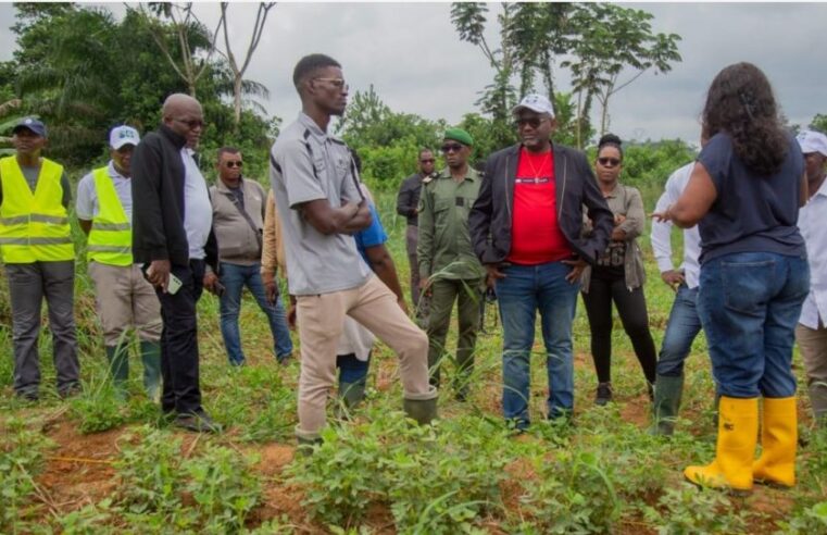 Au Gabon, la science au service de l&rsquo;indépendance alimentaire