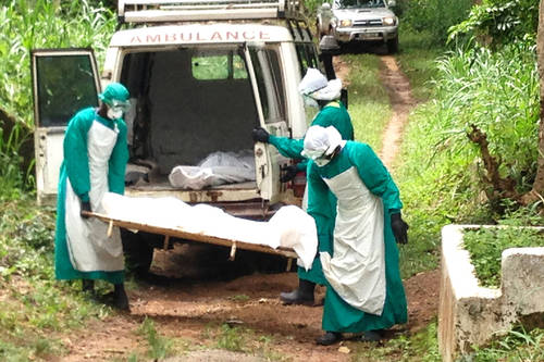 L&rsquo;épidémie d&rsquo;Ebola en RDC : un bilan de plus de 500 vies perdues
