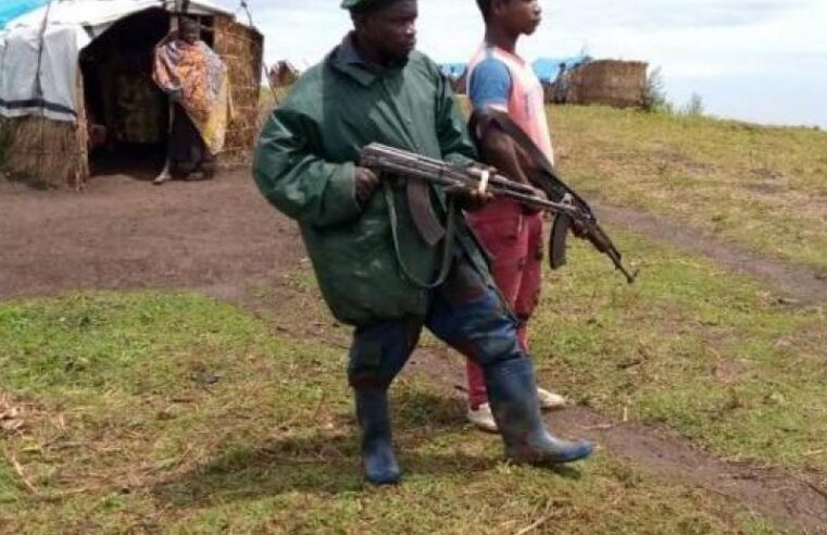 Crise de l&rsquo;Ituri : la CRP/FRP de lubanga reste isolée malgré ses ambitions