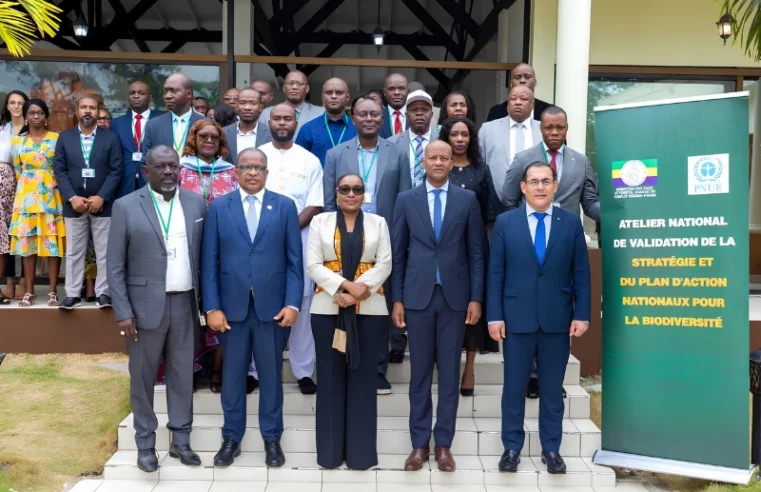 Gabon : une stratégie ambitieuse pour préserver sa biodiversité d&rsquo;ici 2030