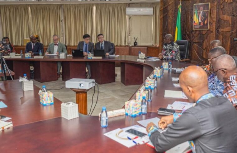 Potasse de Banio : le Gabon mise sur un géant chinois pour son essor minier