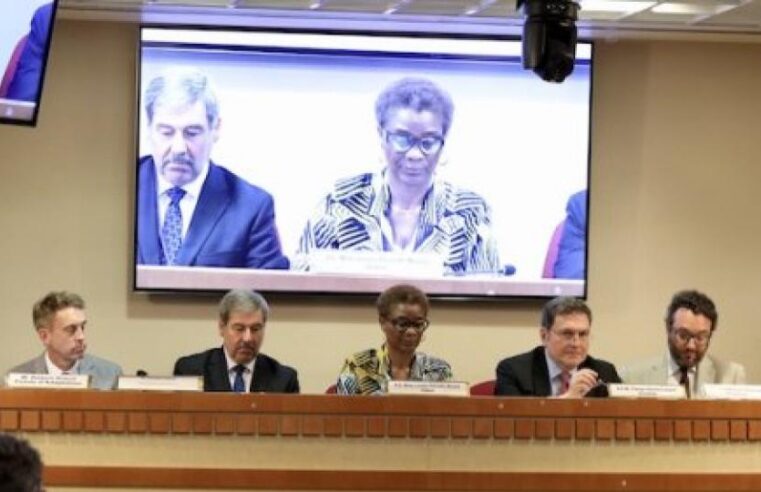Gabon : le plaidoyer d&rsquo;une ministre pour révolutionner les financements climat