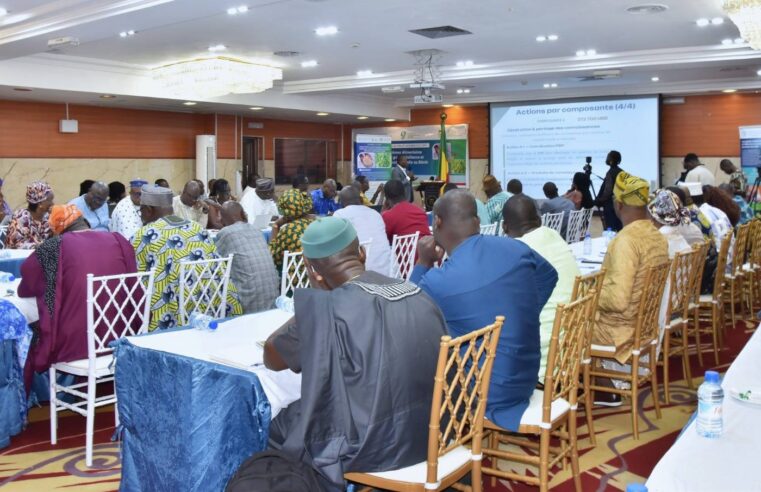 Bénin : le projet food systems pour sauver l&rsquo;agriculture grâce au riz et au maïs