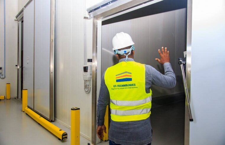 Bénin : une révolution verte grâce aux vitroplants et à la logistique d&rsquo;exportation