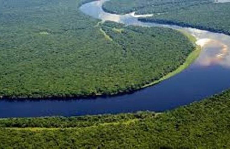 Forum africain de l&rsquo;eau à N&rsquo;Djamena : quand l&rsquo;or bleu congolais fait trembler les frontières