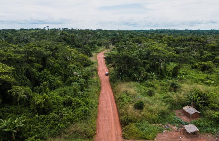 Cameroun : 292 milliards de fcfa de financements bad en péril à cause des retards administratifs