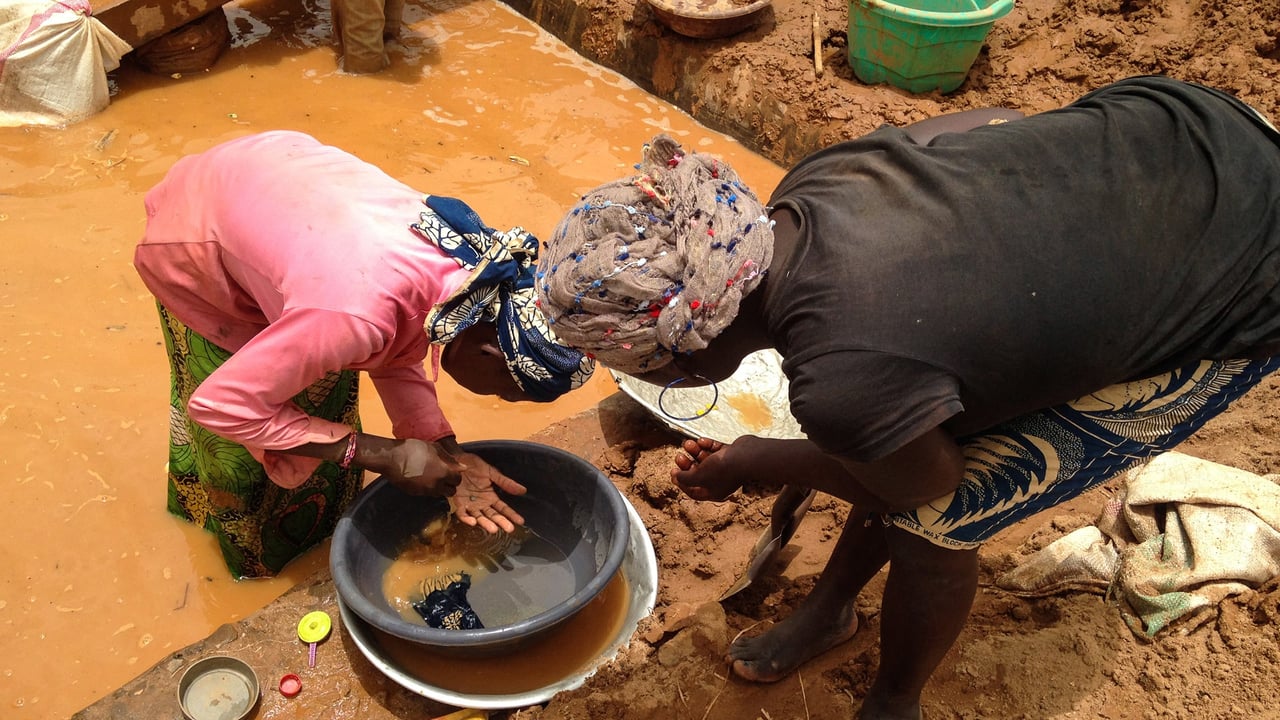 L&rsquo;or camerounais : un trésor volé sous le regard de l&rsquo;État