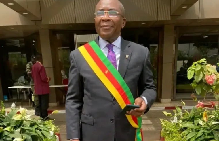Conseil constitutionnel camerounais doit constater la vacance du pouvoir, exige nintcheu