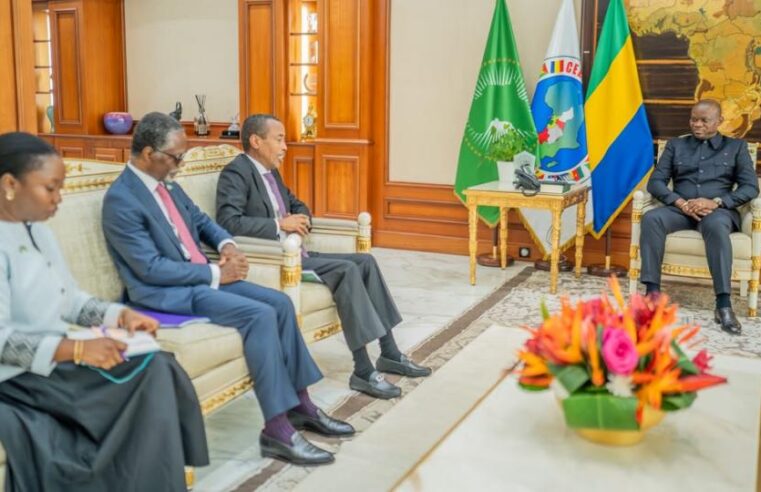 Gabon-Madagascar : une expérience de transition pour la stabilité