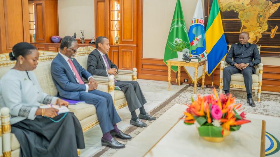 Gabon-Madagascar : une expérience de transition pour la stabilité