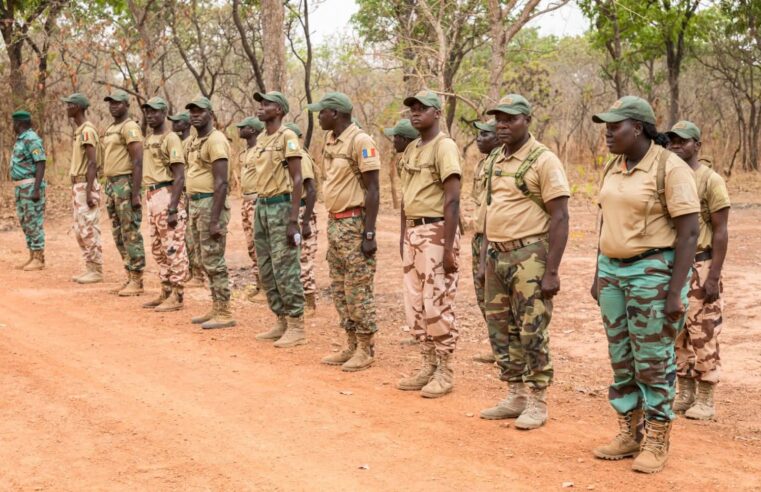 Tchad : restriction des tenues militaires pour les agents des eaux et forêts