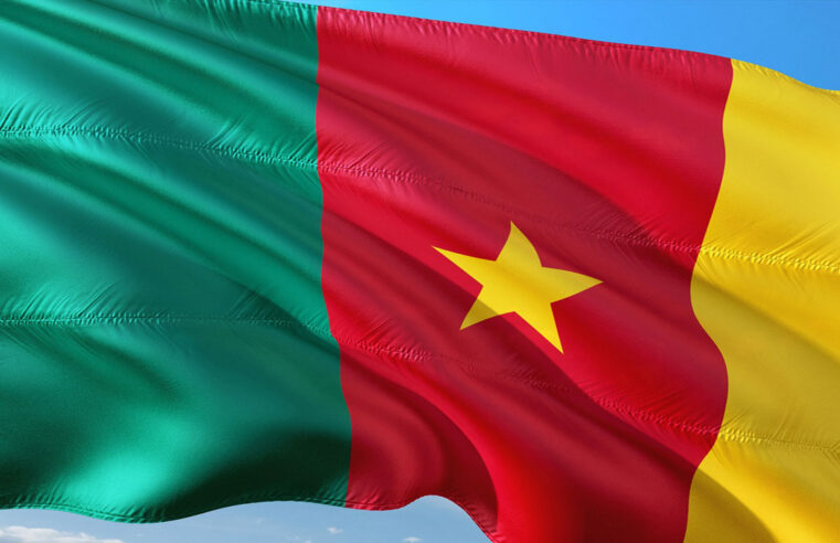 Pourquoi le Cameroun est-il absent de la vague du « Visa Free » en Afrique ?