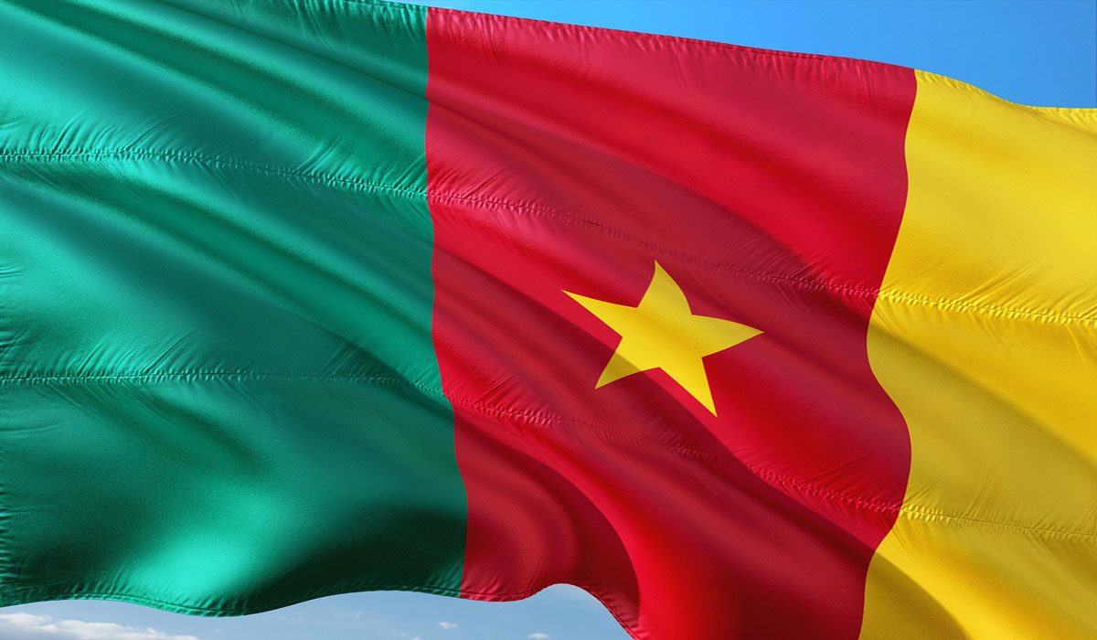 Pourquoi le Cameroun est-il absent de la vague du « Visa Free » en Afrique ?
