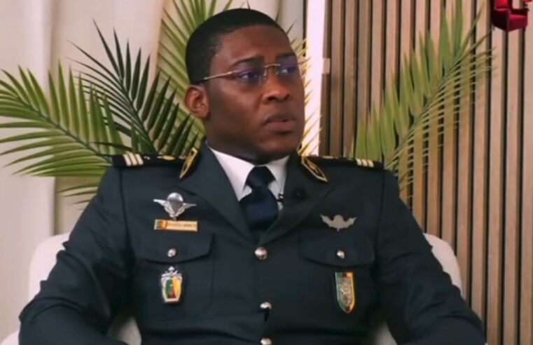 Affaire effoudou contre ngoh ngoh : le Cameroun en ébullition