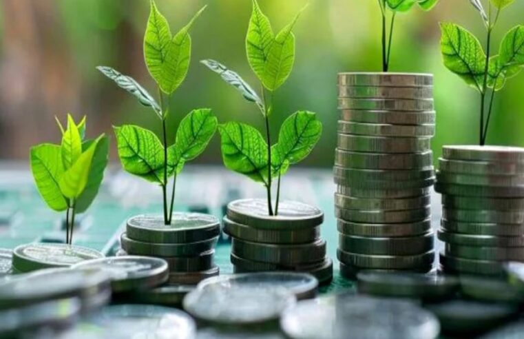 Maroc : une taxonomie verte pour accélérer la transition énergétique du royaume