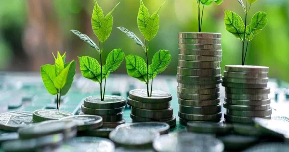 Maroc : une taxonomie verte pour accélérer la transition énergétique du royaume