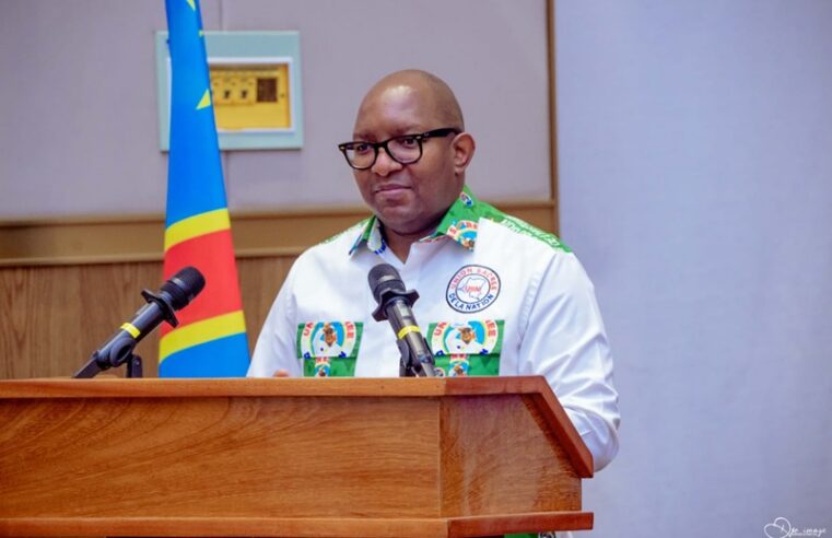 Soutien politique en rdc : jean-michel sama lukonde valide la loi référendaire de tshisekedi