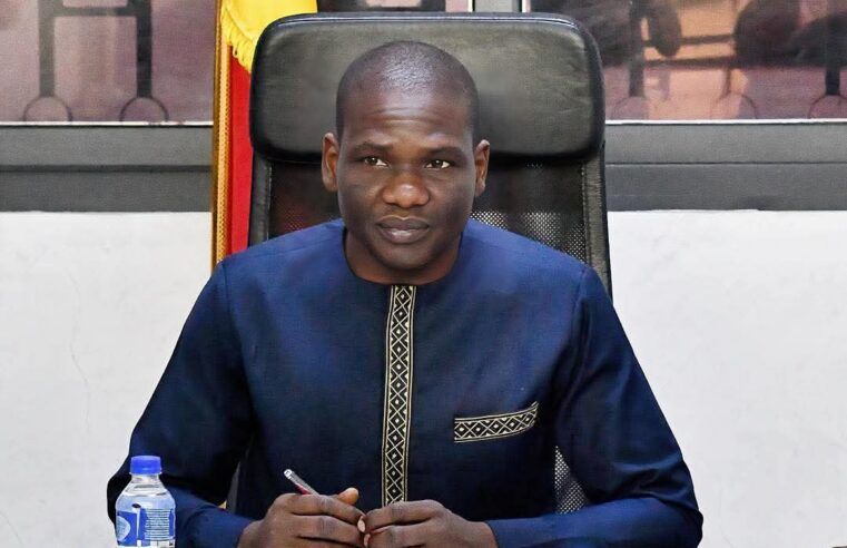 Yaourt non conforme : le Tchad retire quatre marques de la vente à N&rsquo;Djamena