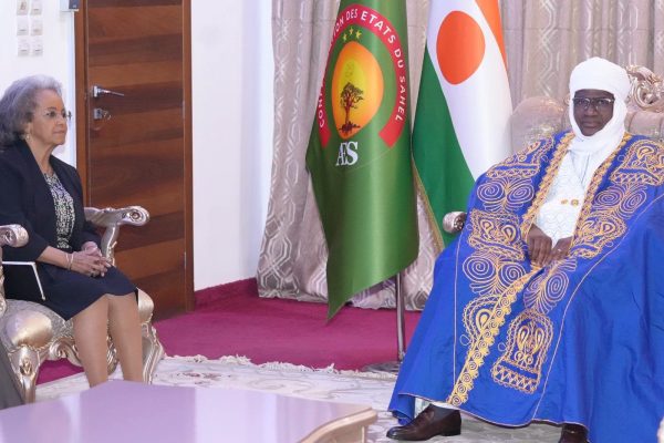 Le conseil consultatif de la refondation du Niger et l&rsquo;avenir de l&rsquo;unowas