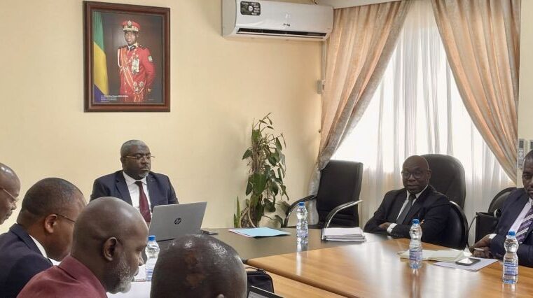 Réforme administrative au Gabon : un guide légistique pour transformer l&rsquo;état