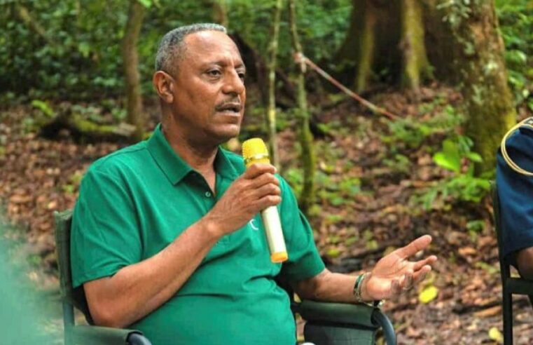 L&rsquo;ancien ministre Pascal Ogowe Siffon retrouve la liberté provisoire au Gabon