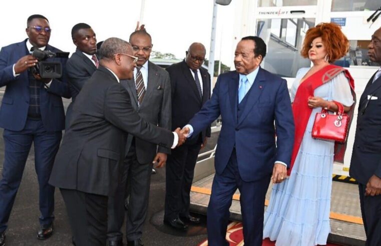 Le pouvoir camerounais est-il vraiment vacant ? la réponse dans la constitution