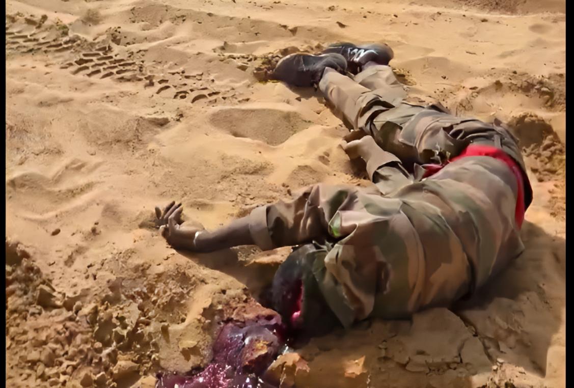 Embuscade meurtrière au Nord-Mali