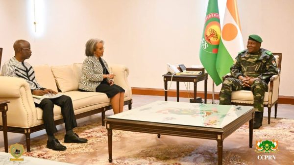 Revue stratégique de l&rsquo;ONU sur le Sahel : le Niger en première ligne